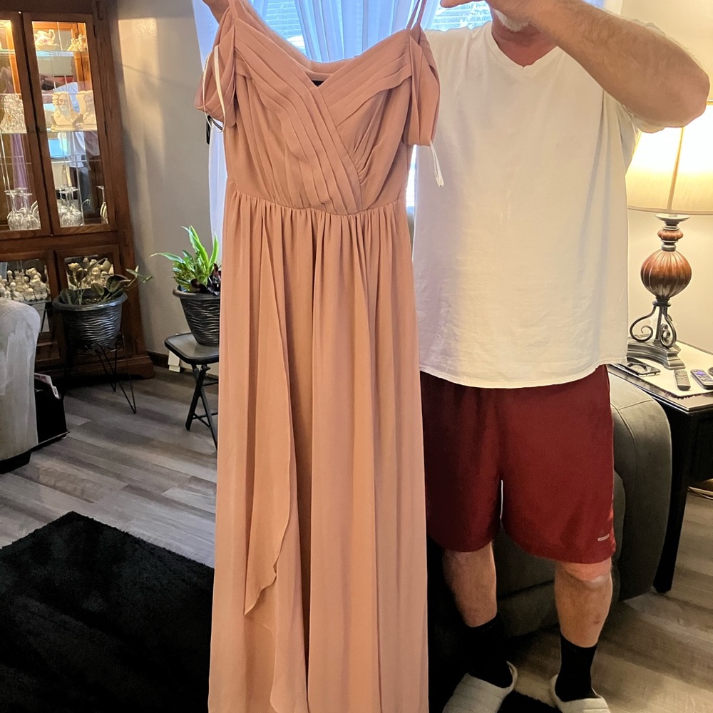 Elegant Blush Pink Gown